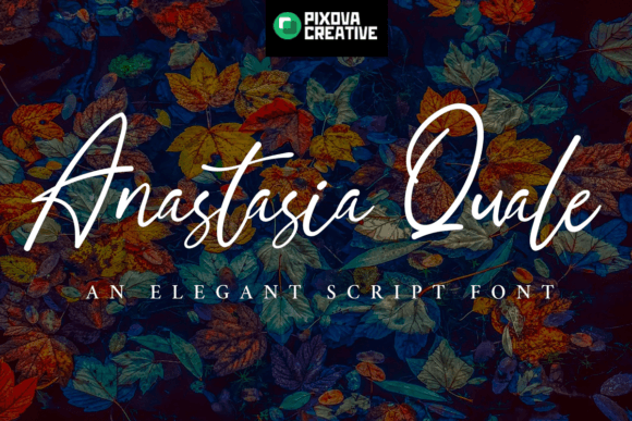 Anastasia Quale: Elevating Editorial Design with Handwritten Elegance