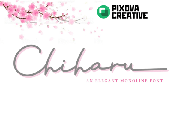 Chiharu: The Premium Script Font for Scroll-Stopping Brand Content
