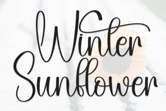 Winter Sunflower Typeface: A Maker’s Review for Handmade Brands