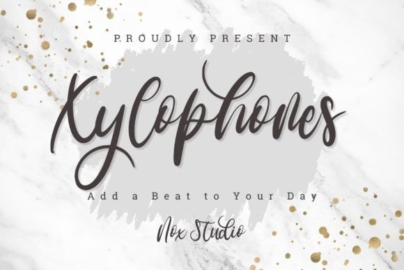 Xylophones: A Designer’s Honest Review of This Script Amp Typeface